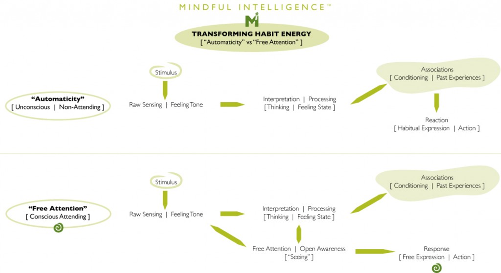 mindup mindfulness jar